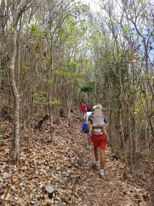 La Boucle du Vauclin et Trou Cochon : de beaux points de vue sur l'Atlantique