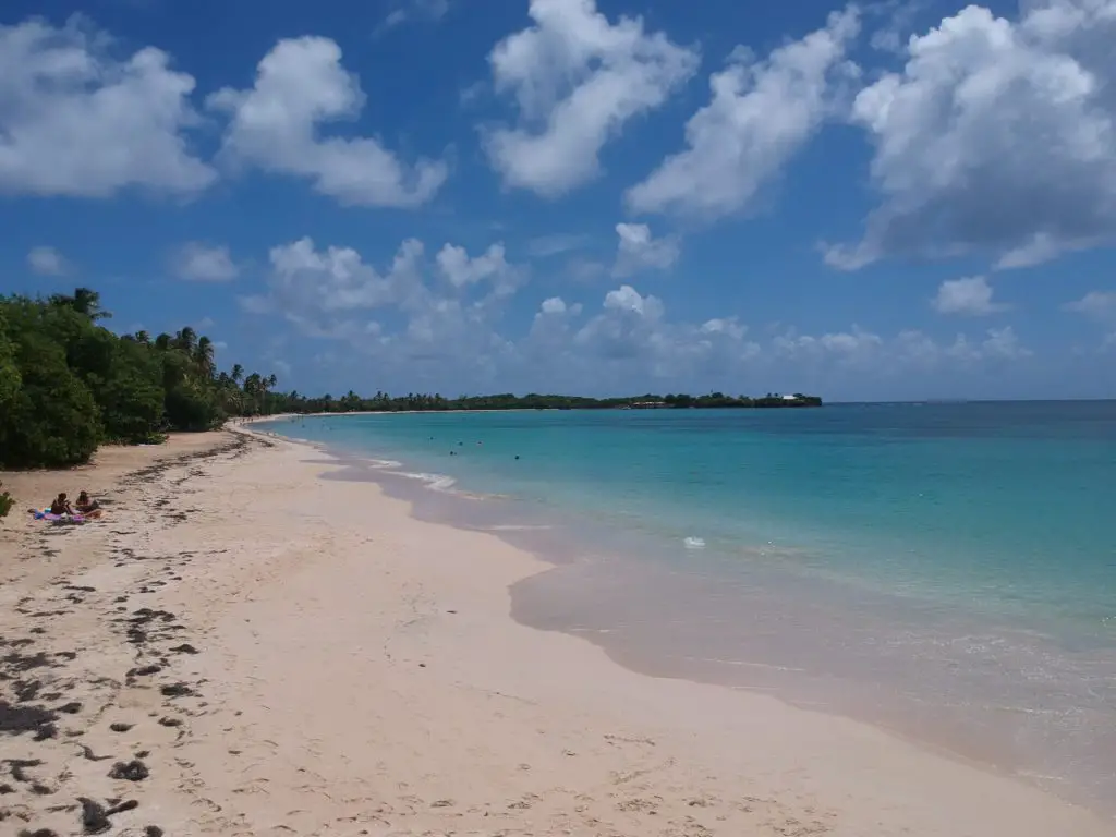 Plage des Salines, que faire en Martinique