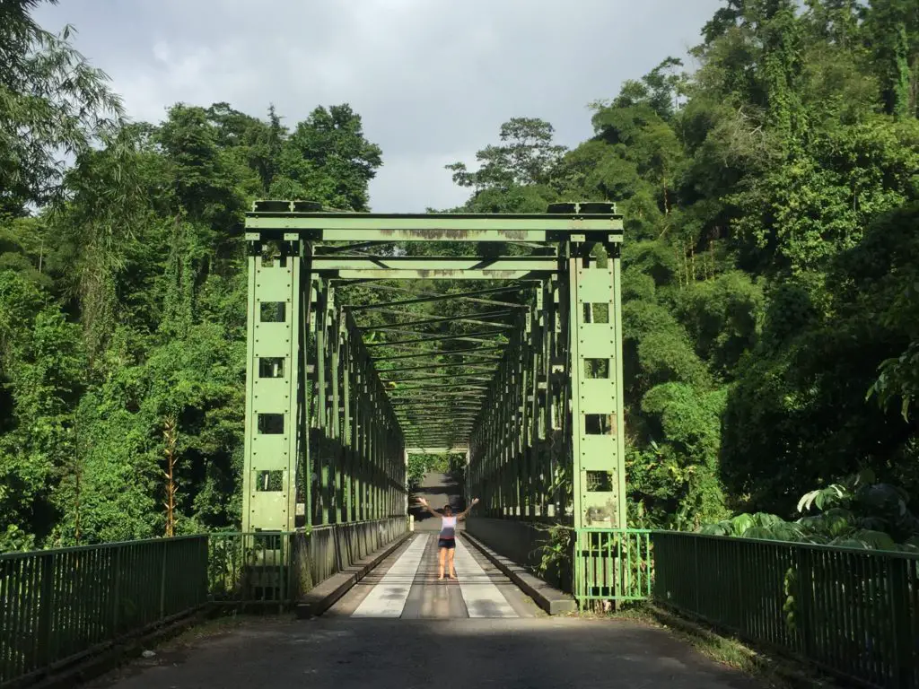 Pont jungle Grand Rivière - Que faire en Martinique - Itinéraire 10 jours Martinique
