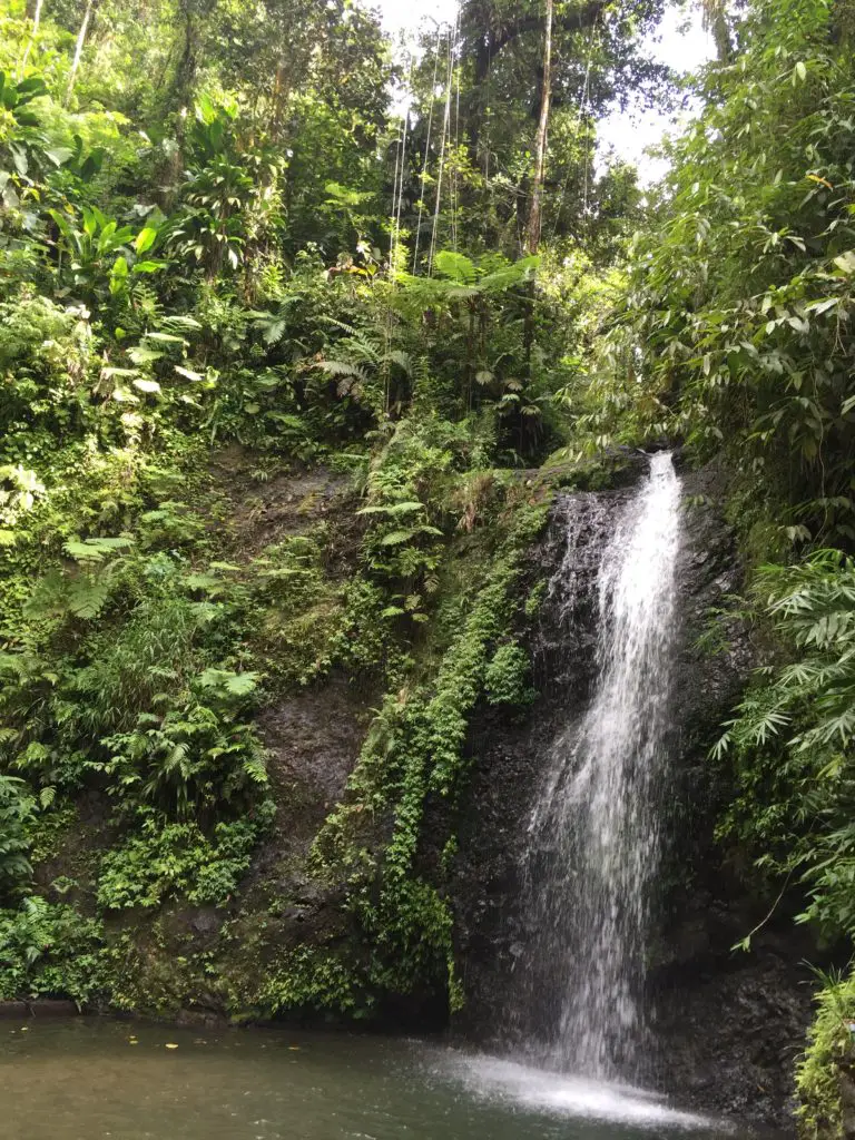 Cascade Saut Gendarme - Que faire en Martinique ? itinéraire 10 jours