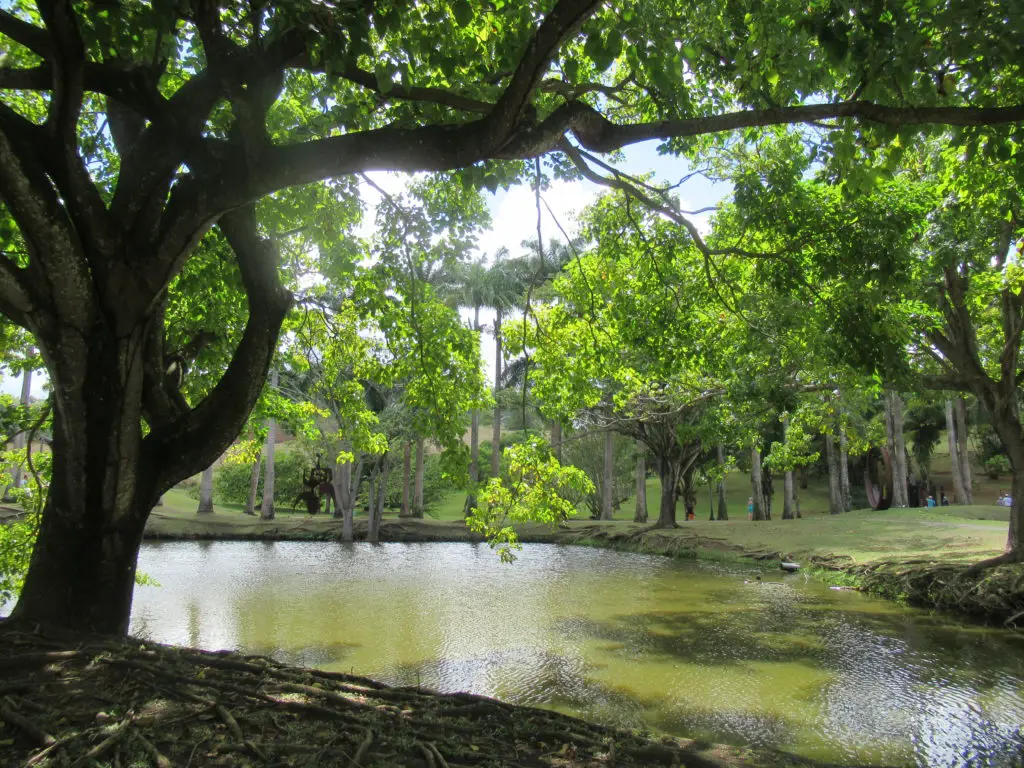 parc rhumerie Clément - Martinique