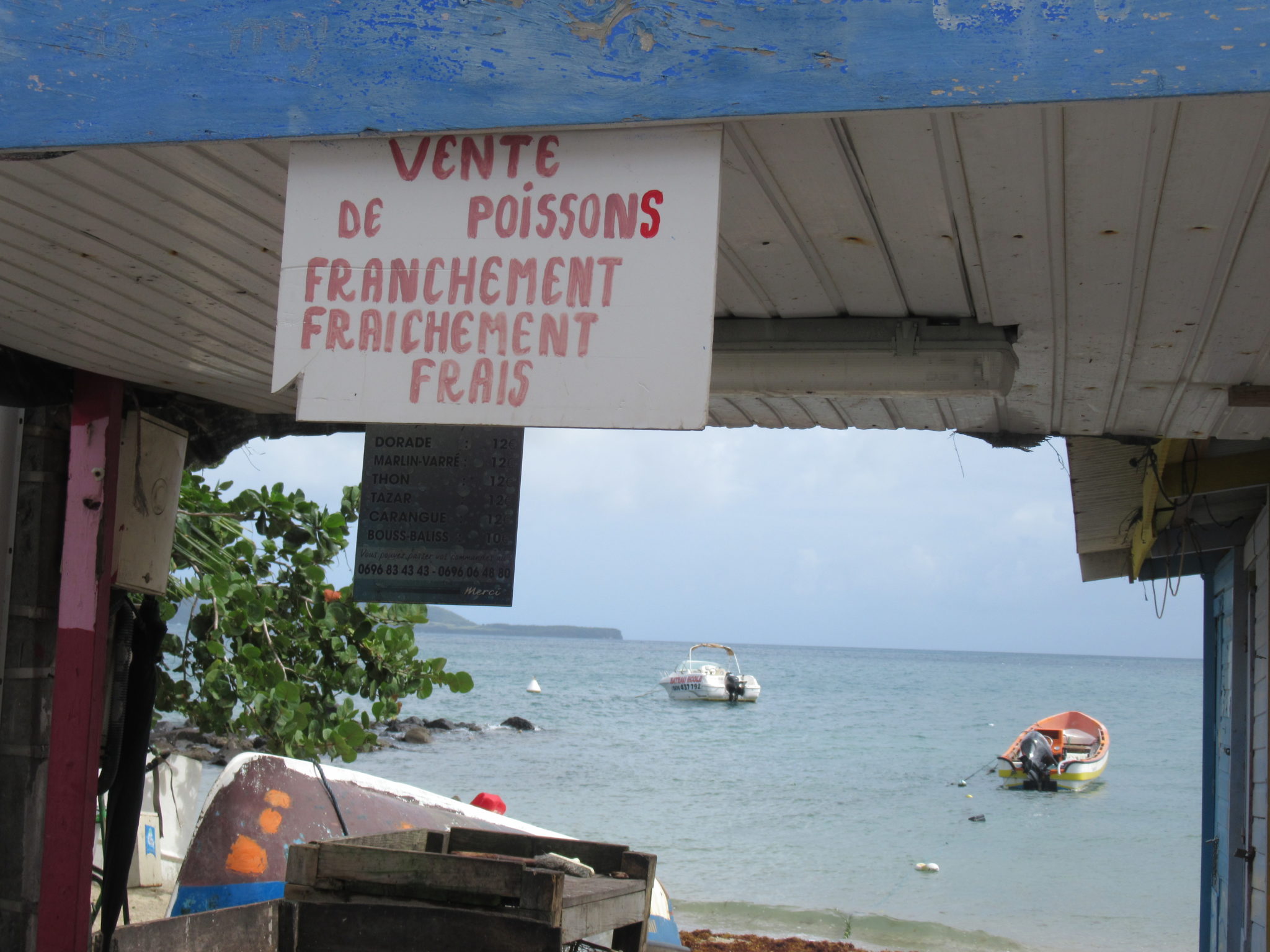 Où bien manger en Martinique ? 20 restaurants à tester